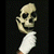 :iconabuklea: