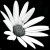 :iconabygailwilliams: