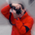 :iconabyloo: