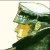 :iconabzinth: