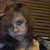 :iconaca22: