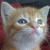 :iconacandybandit: