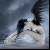 :iconacara-11:
