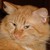 acatnamedfrank :iconacatnamedfrank: