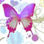 :iconaccebera: