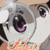 :iconacchan12: