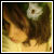 :iconaccidrayne: