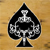 :iconace-reynolds: