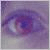 :iconace131484: