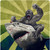 :iconace997: