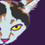 :iconaceexcel: