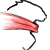 :iconaceleeon: