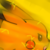 :iconacetheepicpikachu: