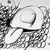 :iconacffdrum: