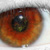 :iconacid85:
