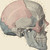:iconacidddburn: