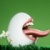 :iconacidjay: