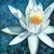 :iconacidlotus: