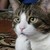 :iconacidredux: