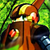 :iconacidvalor: