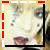 :iconacireia: