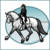 :iconacontesthorsegirl: