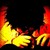 :iconacorn3210: