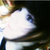 :iconacousticsillybands: