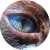 :iconacoustix96:
