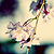 :iconacrylicpaint: