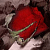 :iconactin4life: