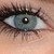 :iconactivo1410: