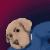 :iconacxhazard: