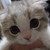 :iconad111799: