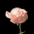 ada-01 :iconada-01: