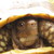 :iconadabug26: