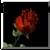 :iconadacolic: