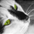 :iconadain1: