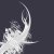 :iconadam-ph: