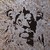 :iconadamhallart: