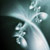 :iconadamsw216: