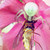 adamus334 :iconadamus334: