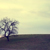 :iconadarksky: