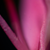 :iconadaywithemo: