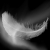 :iconadd-aj-bam: