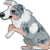 :iconaddi-lou: