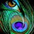 :iconaddicted14: