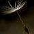 :iconaddiction-box: