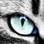 :iconaddictive95: