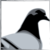 :iconaddictivekaos: